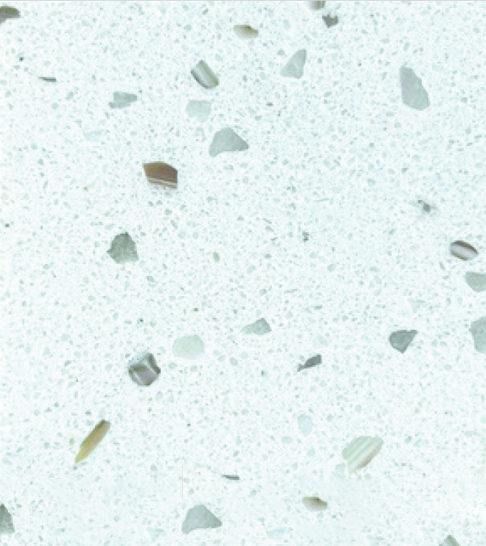 Sea Shell